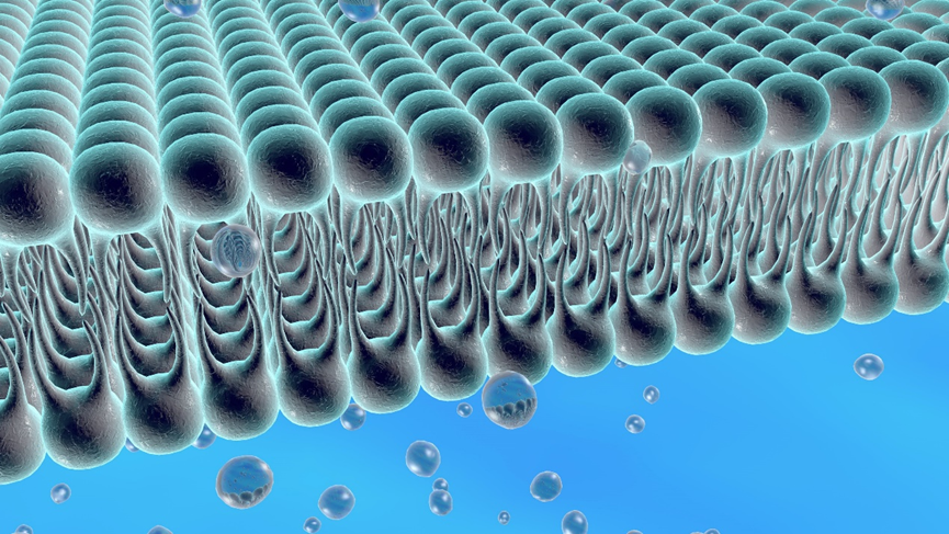 1684893732265369.png 1684893732265369.png